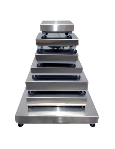Plataforma LM con estructura pintada