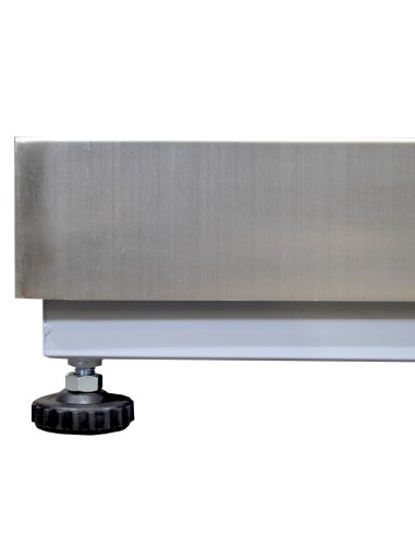 Plataforma LM con estructura pintada