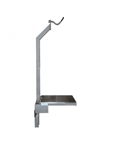 BME-MV/SG 300 kg  S/GANCHO(BASCULA