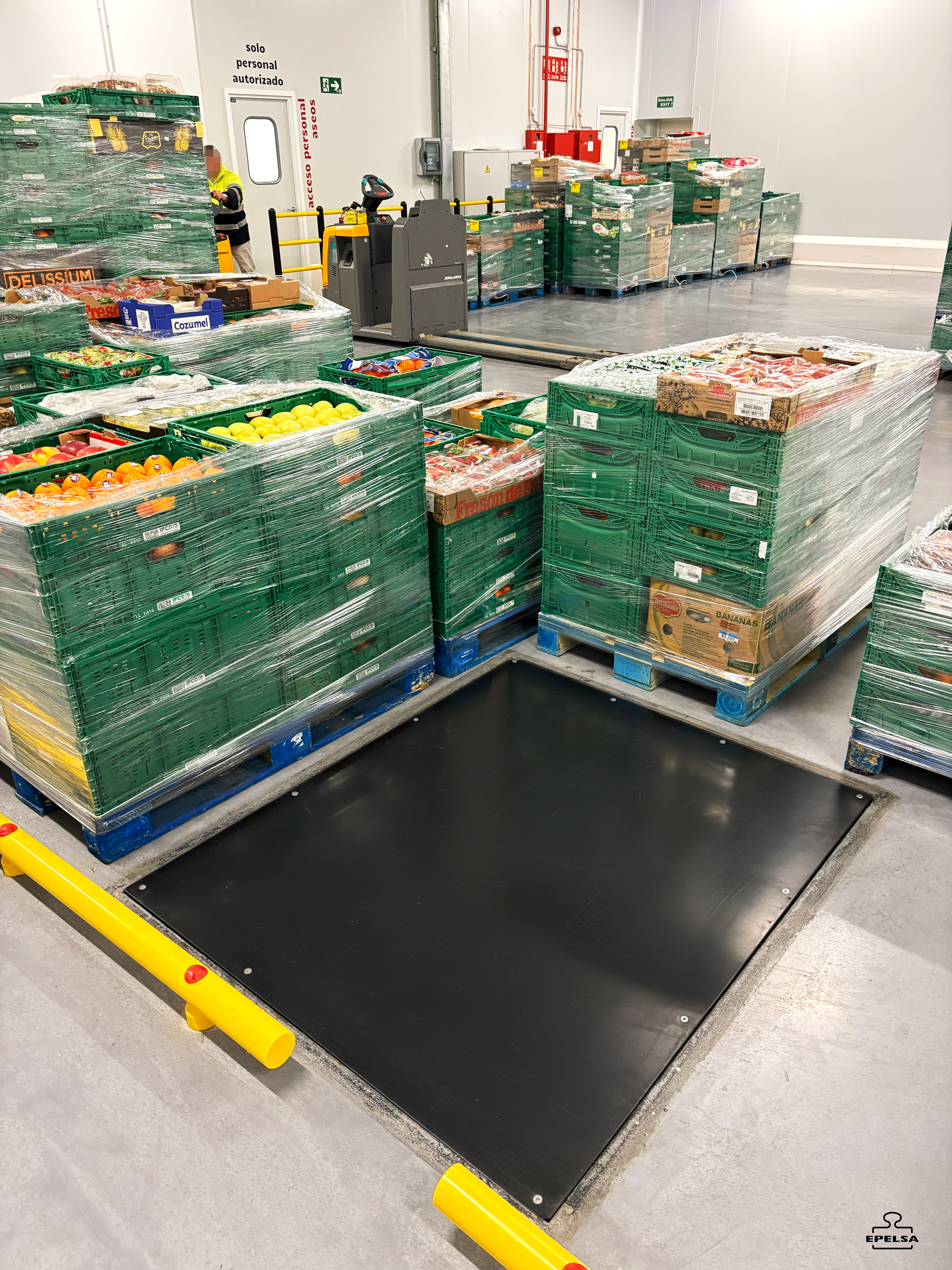 Infraestructura Epelsa - Plataforma y visores